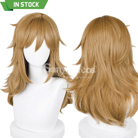 【In Stock】Game The Legend Of Zelda Cosplay Link Long Wig Wigs