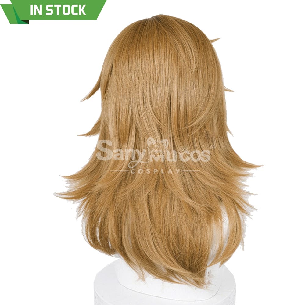 【In Stock】Game The Legend Of Zelda Cosplay Link Long Wig Wigs