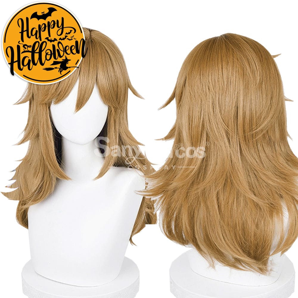 【In Stock】Game The Legend Of Zelda Cosplay Link Long Wig Wigs