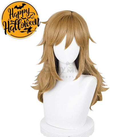 【In Stock】Game The Legend Of Zelda Cosplay Link Long Wig Wigs