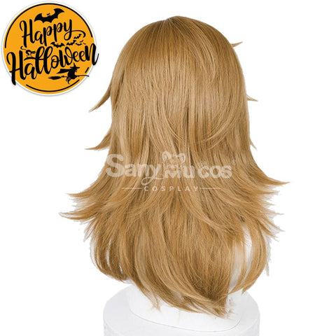 【In Stock】Game The Legend Of Zelda Cosplay Link Long Wig Wigs