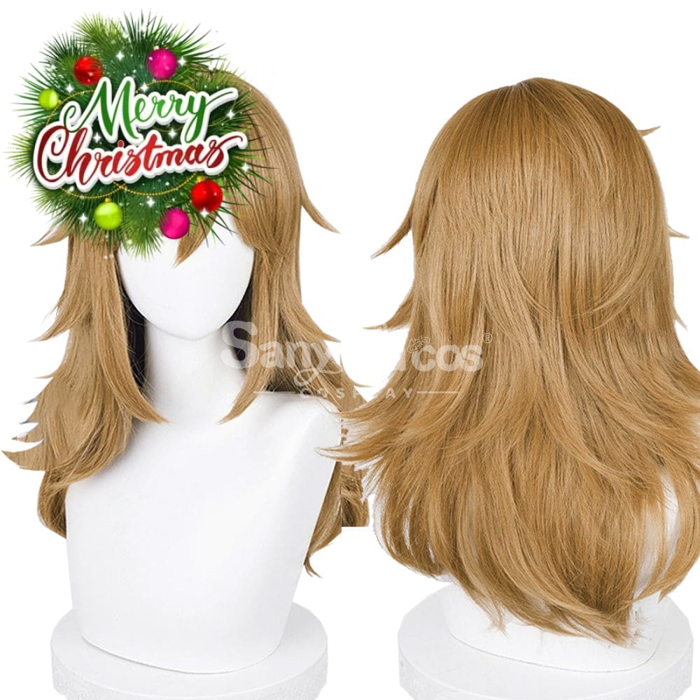 【In Stock】Game The Legend Of Zelda Cosplay Link Long Wig Wigs