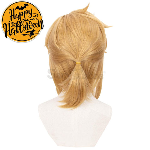 【In Stock】Game The Legend Of Zelda Cosplay Link Short Wig Wigs