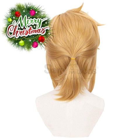 【In Stock】Game The Legend Of Zelda Cosplay Link Short Wig Wigs