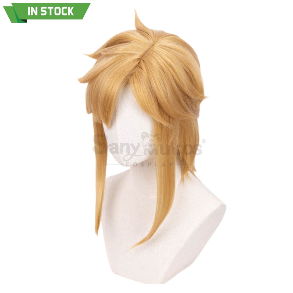 【In Stock】Game The Legend Of Zelda Cosplay Link Short Wig Wigs