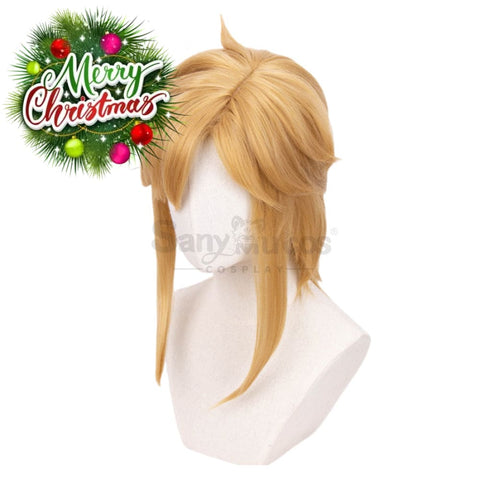 【In Stock】Game The Legend Of Zelda Cosplay Link Short Wig Wigs