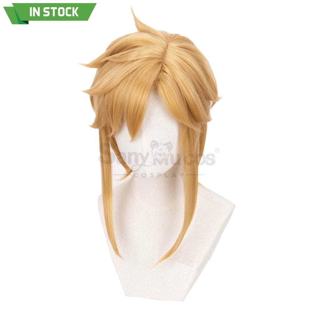 【In Stock】Game The Legend Of Zelda Cosplay Link Short Wig Wigs