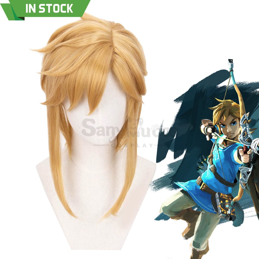 【In Stock】Game The Legend Of Zelda Cosplay Link Short Wig Wigs