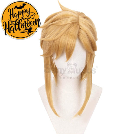 【In Stock】Game The Legend Of Zelda Cosplay Link Short Wig Wigs