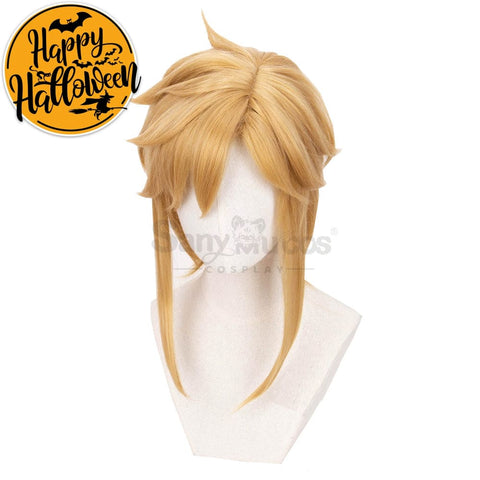 【In Stock】Game The Legend Of Zelda Cosplay Link Short Wig Wigs