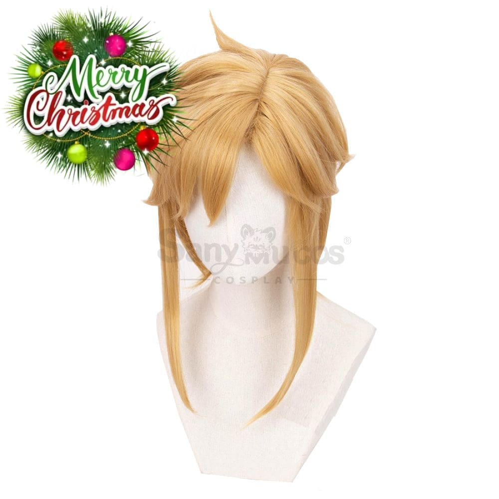 【In Stock】Game The Legend Of Zelda Cosplay Link Short Wig Wigs