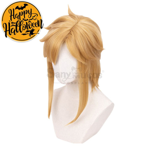 【In Stock】Game The Legend Of Zelda Cosplay Link Short Wig Wigs