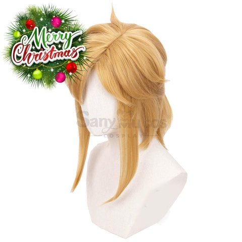 【In Stock】Game The Legend Of Zelda Cosplay Link Short Wig Wigs