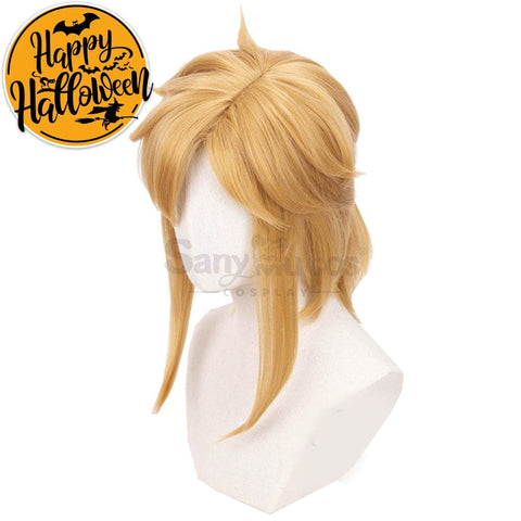 【In Stock】Game The Legend Of Zelda Cosplay Link Short Wig Wigs