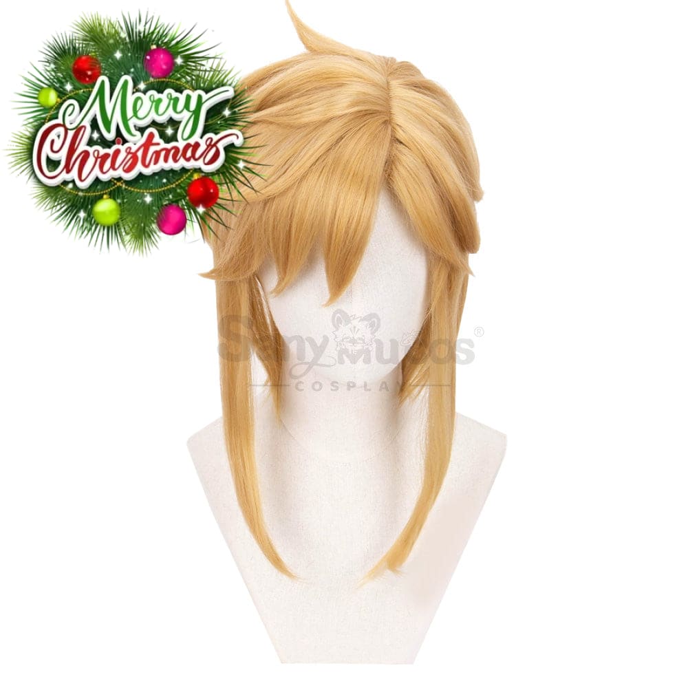 【In Stock】Game The Legend Of Zelda Cosplay Link Short Wig Wigs