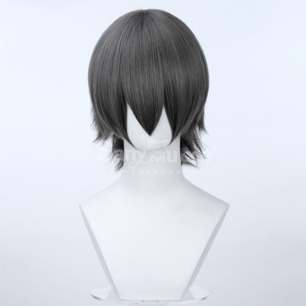 【In Stock】Multicolor Cosplay Universal Short Wig Length 35cm Suitable For All Kinds Of Cosplay 2 Cosplay Wigs