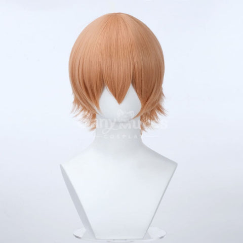 【In Stock】Multicolor Cosplay Universal Short Wig Length 35cm Suitable For All Kinds Of Cosplay 6 Cosplay Wigs