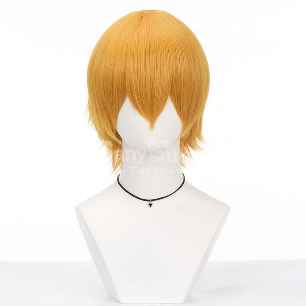 【In Stock】Multicolor Cosplay Universal Short Wig Length 35cm Suitable For All Kinds Of Cosplay J Cosplay Wigs